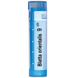 Блата Ориенталис / Blatta Orientalis 9ch