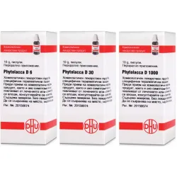Фитолака, Phytolacca D 6, D 30, DHU