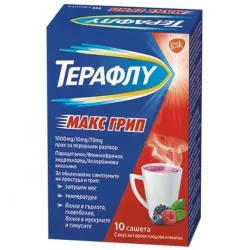 Терафлу макс грип с горски плодове х 10 сашета
