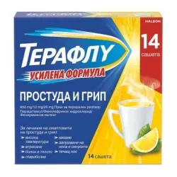 Терафлу при грип и простуда X 14 сашета