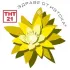 ТНТ