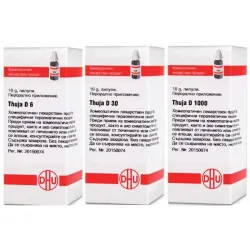 Туя, Thuja D 1000 DHU
